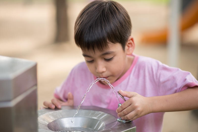 Clean drinking water from a fountain